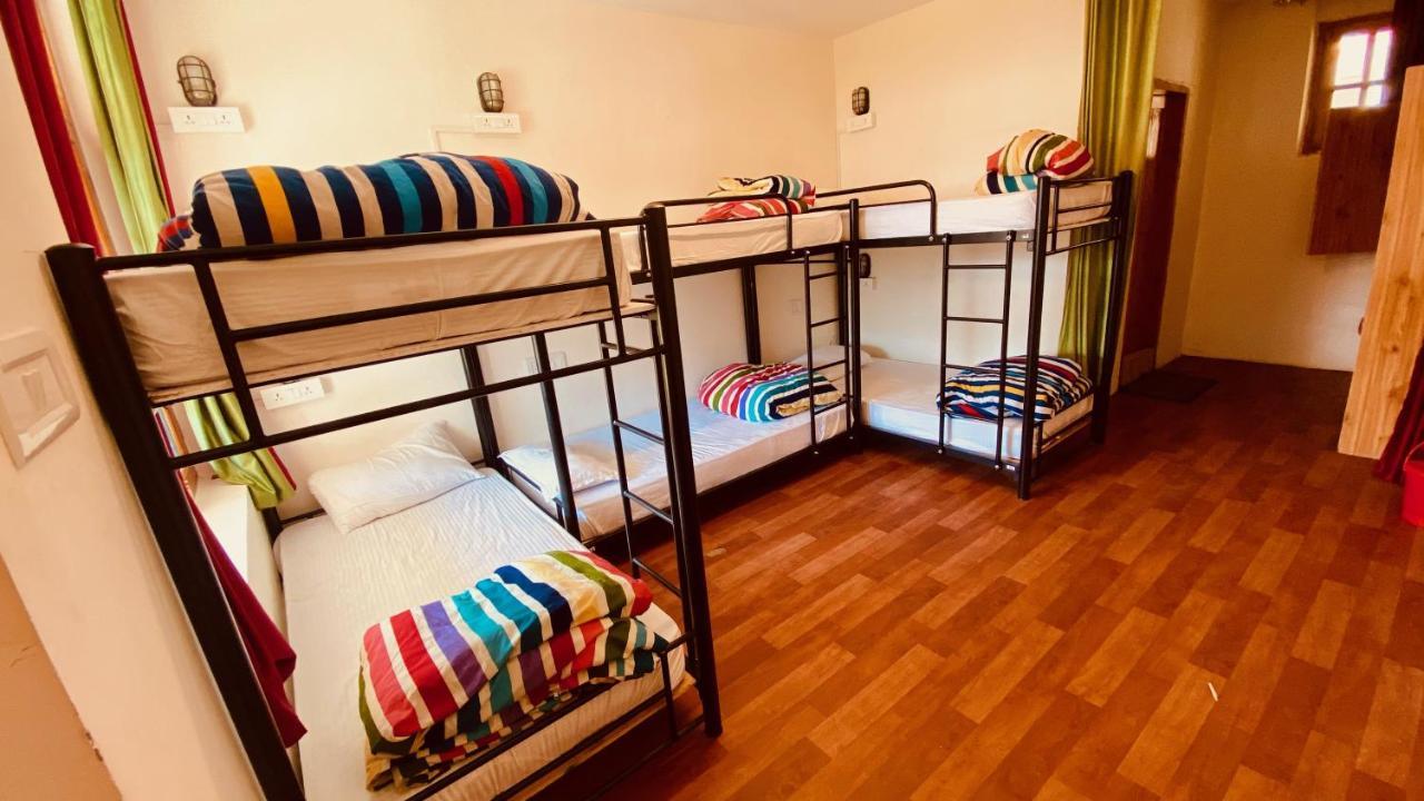 Superior 6-Bed Mixed Dormitory