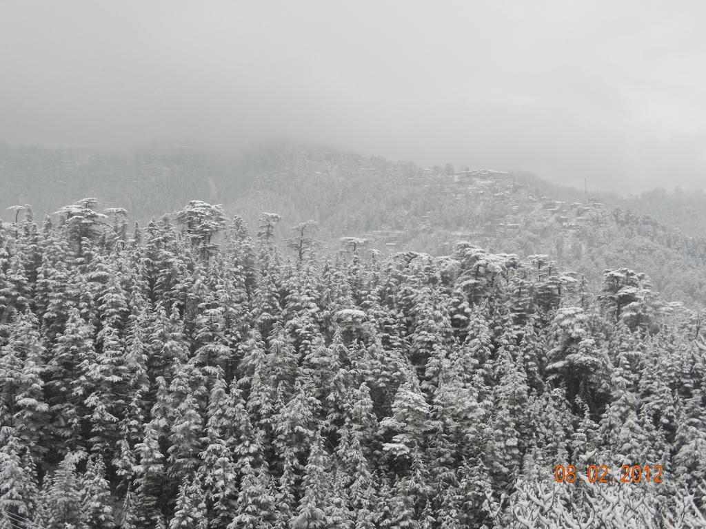 Family Room,382067467:JPEG