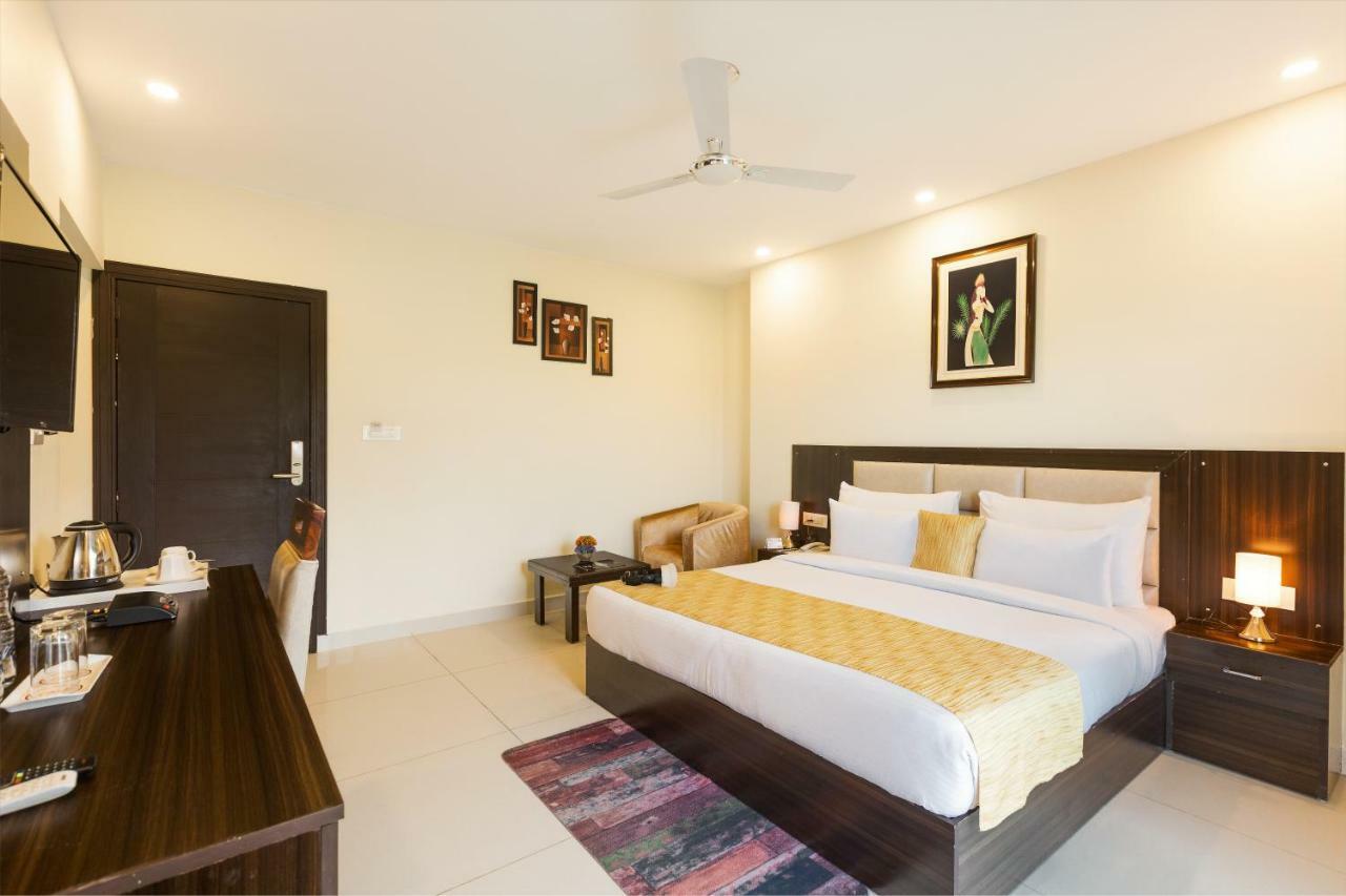 CLUB DELUXE,779518113:JPEG