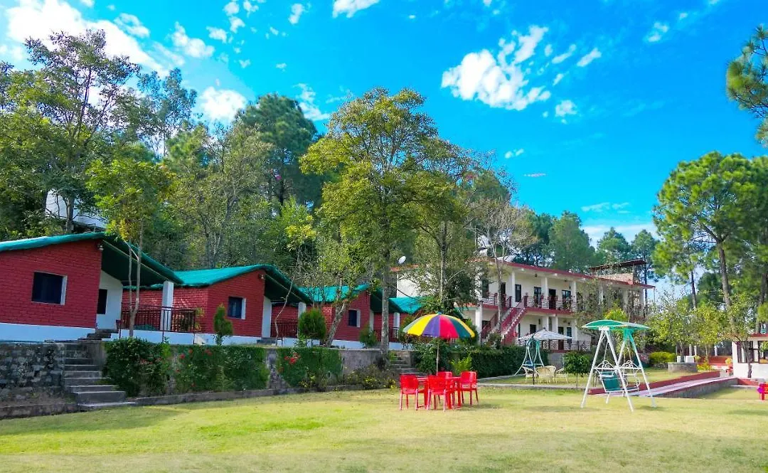 Kasauli Nature Inn-1