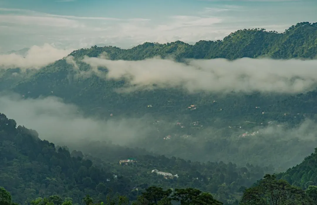 The Woods View: Serene Villa Retreat by Exotic Stays-1