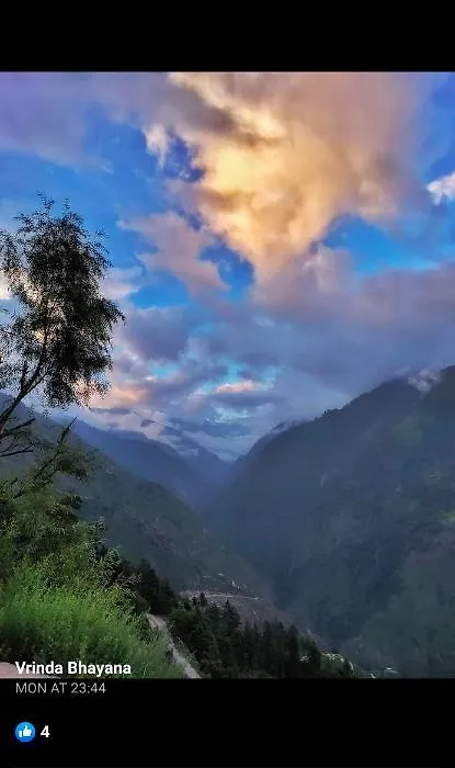 Kasauli Suffer Pc-1