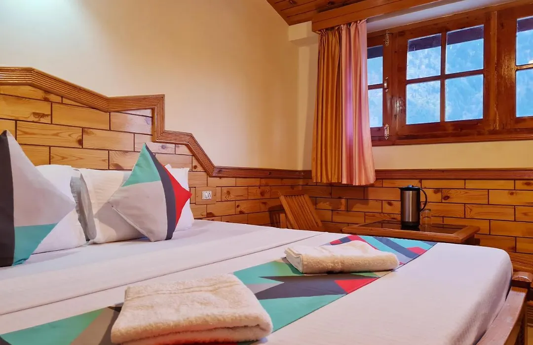 Tourist Nest Old Manali-1