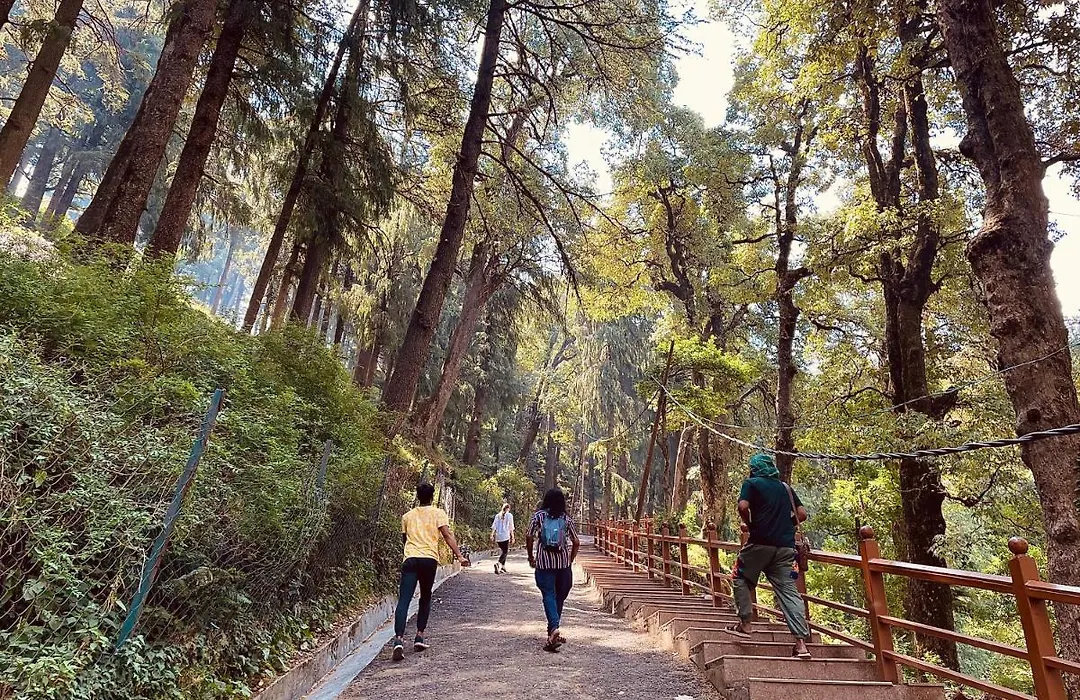 Together Shimla-1