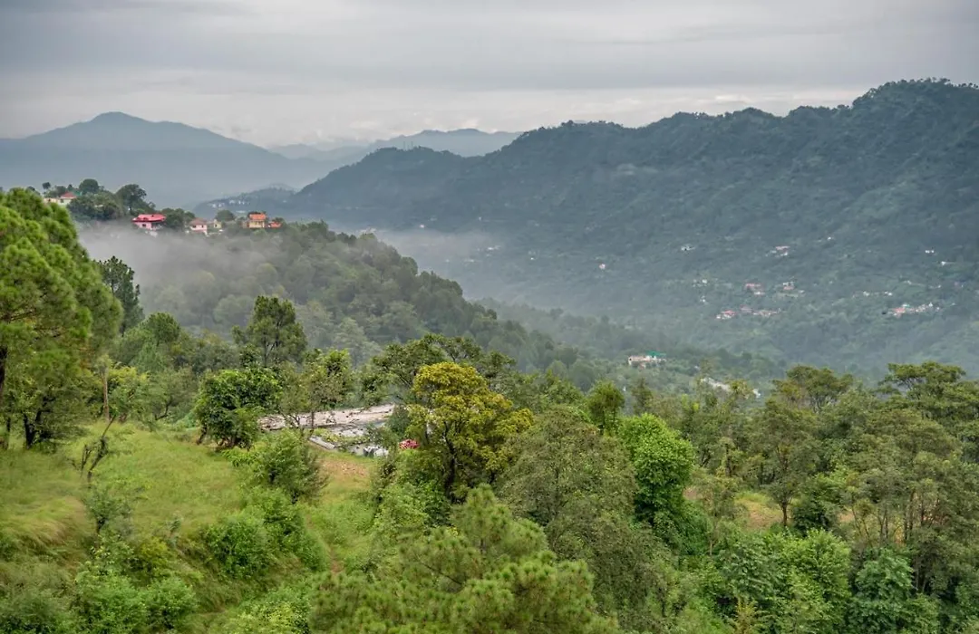 The Himalayan Edge Serviced Apt I Pvt Balcony Or Terrace I Nature Walk Kasauli I By Exotic Stays-1
