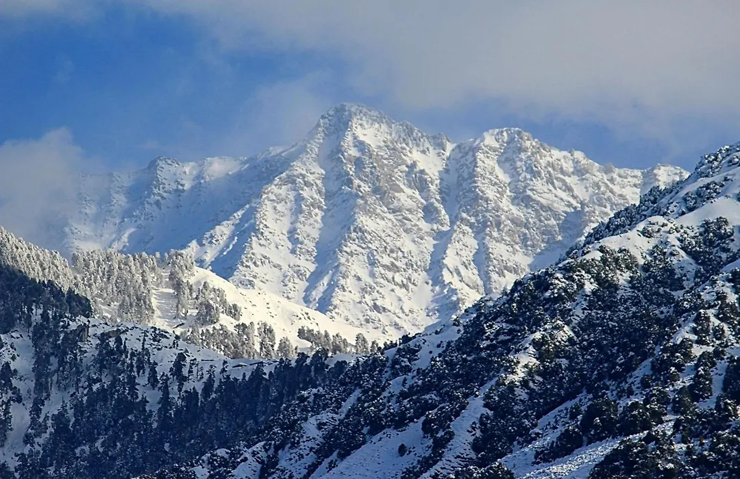 Hotel Bliss Valley - Hotel In Dharamshala-1