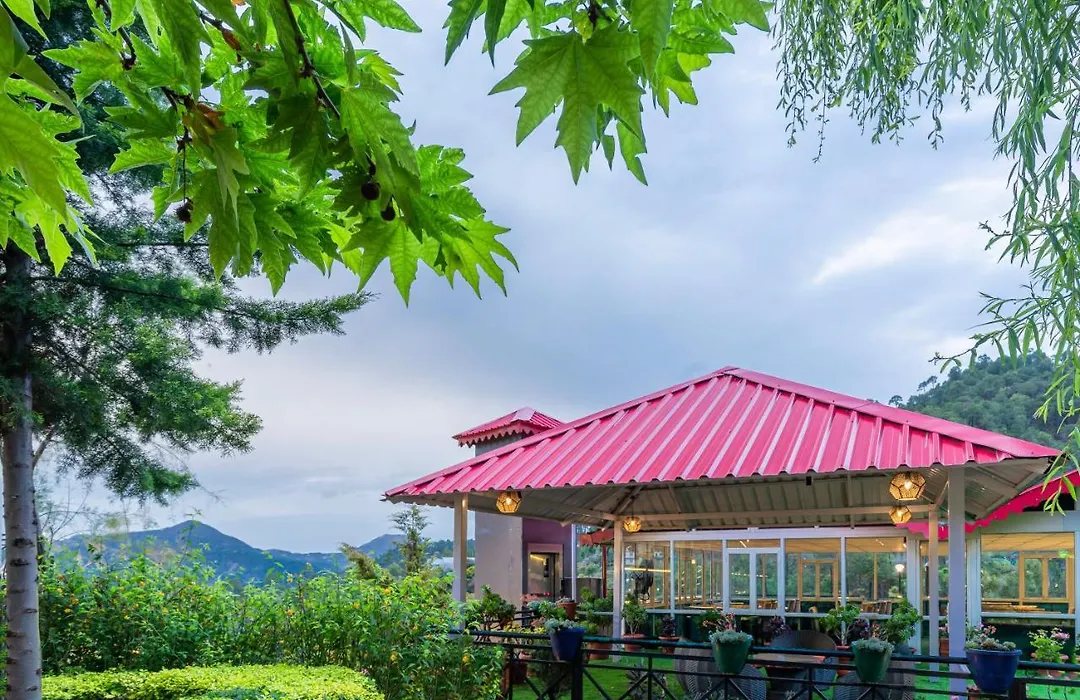 Maple Resort Chail-1