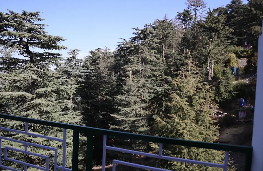 Naldehra Greens-1