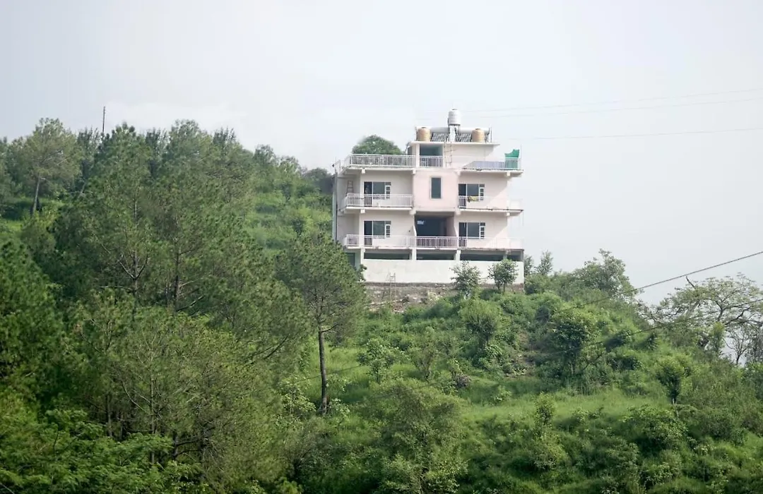 Pleasing Pine'S # Kasauli Vally#-1