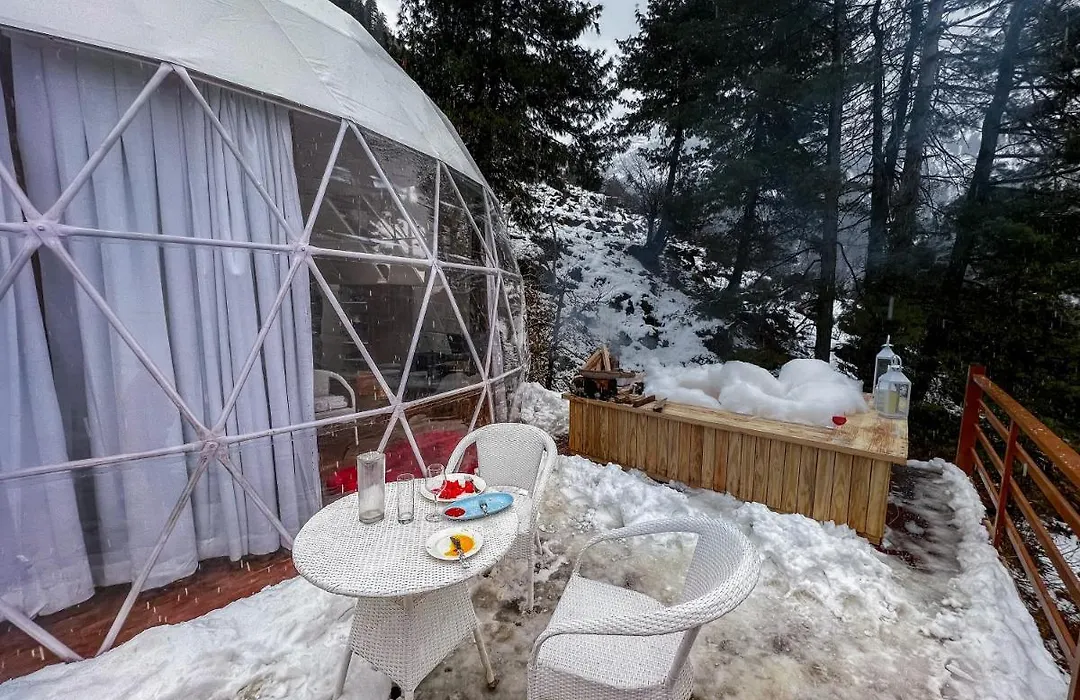 Glamping Club-1