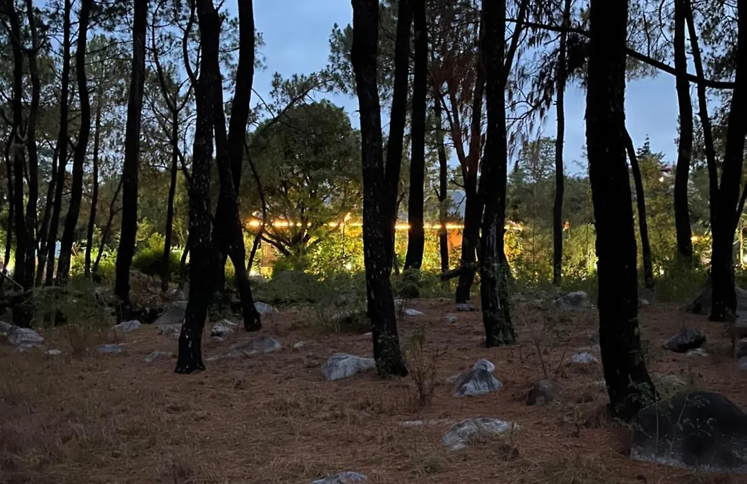 Prakriti Aalay - Riverside Mountain View Boutique Eco Resort-1
