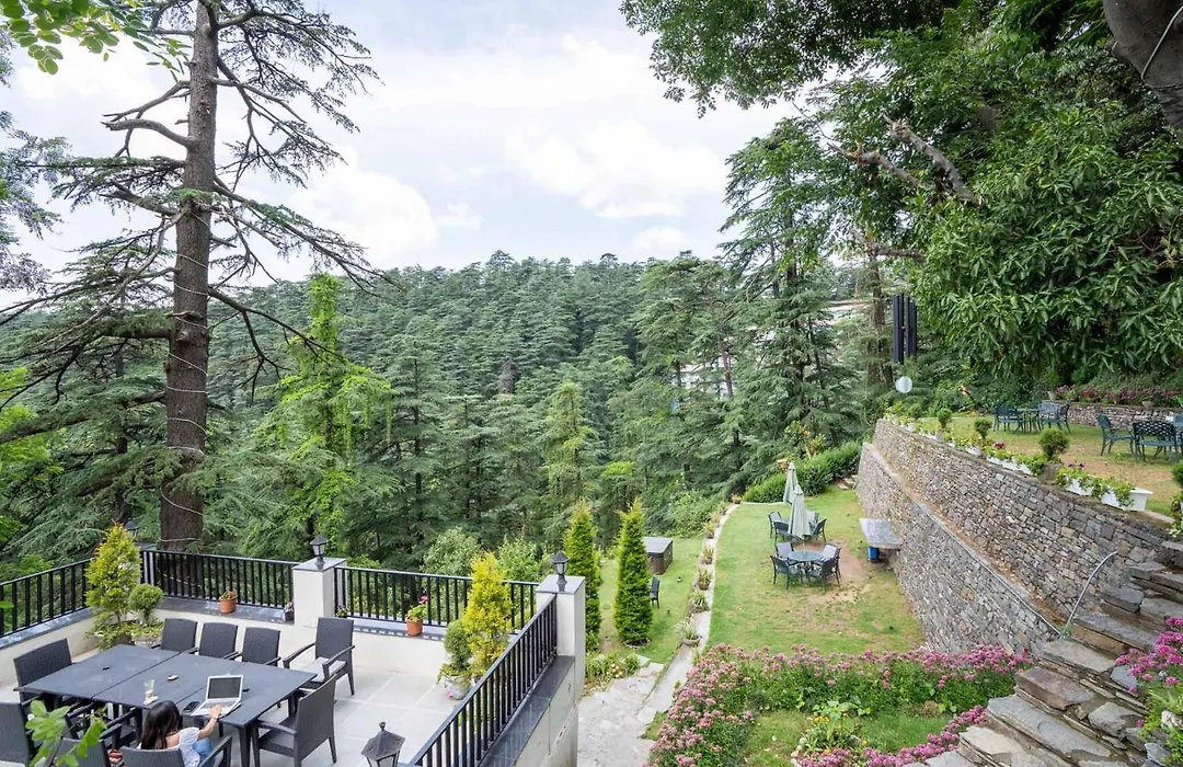 Stayvista At Pine Estate With Outdoor Jacuzzi-1