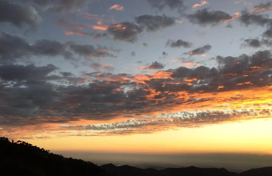 Pine Cove Serviced Apartments: Peaceful Family Retreat in Kasauli-1