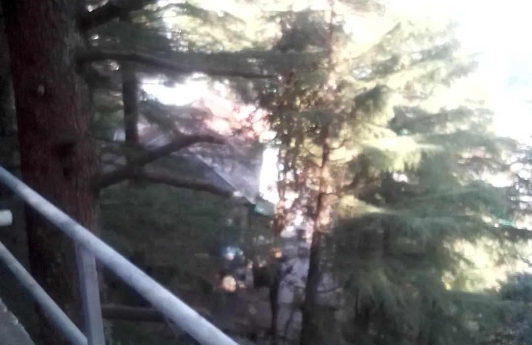 Himalayan Triund Trekking And Waterfalls View Hostel-1