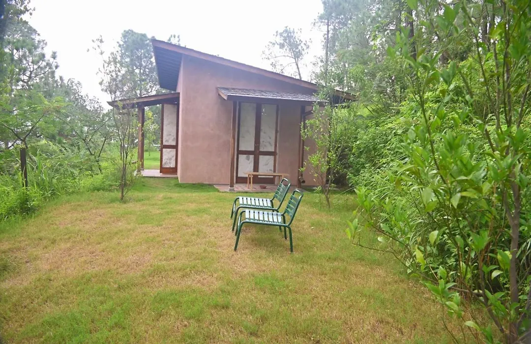 Amaya Kasauli-1