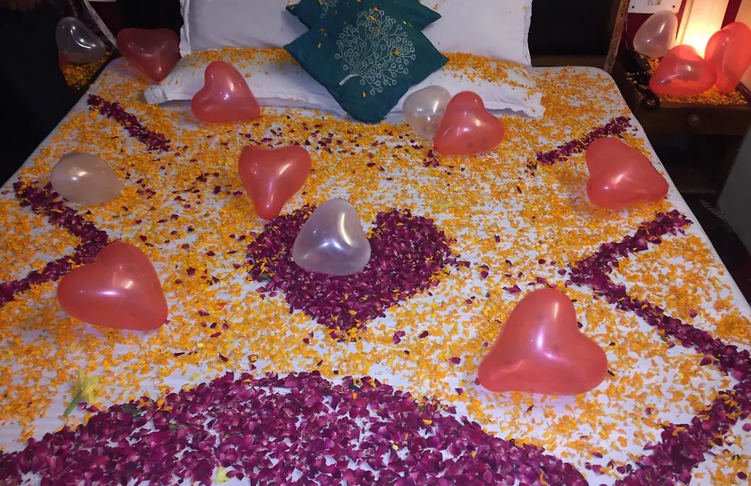 Hotel Manali Castle-1
