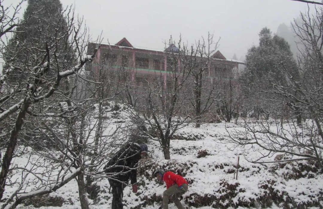Manali Top Inn-1