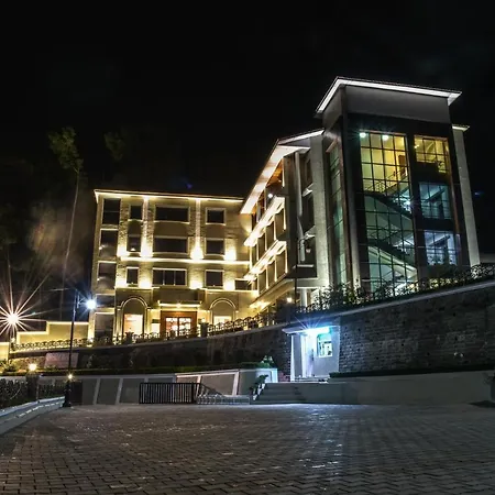 Justa Palampur Resort & Convention Centre-3