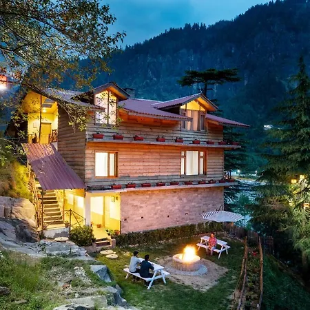 Shobla Pine Royale-2