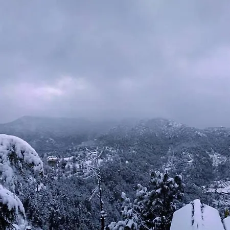 Village View Homestay Shimla-3