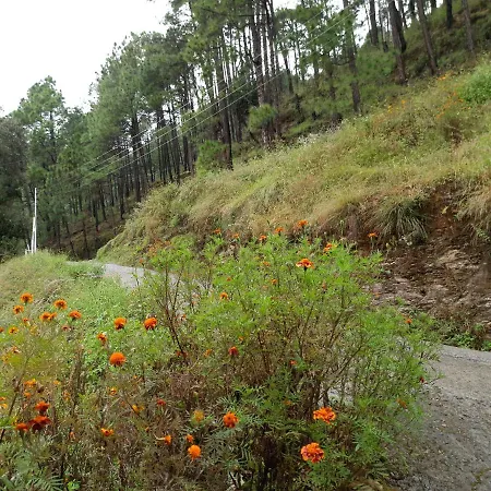 Aagaman Woods Homestay-2