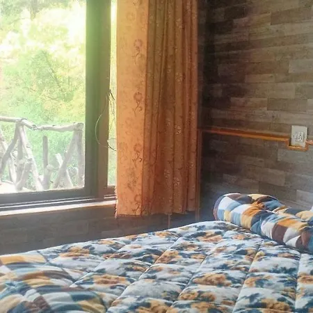 Hotel Pine Spring-3