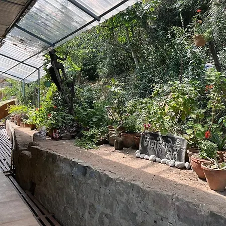 Rani'S Homestay-3