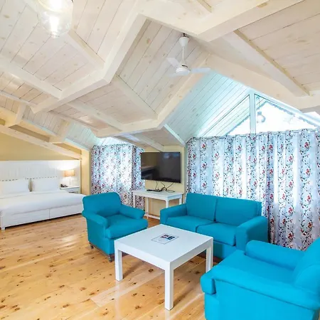 Johnson Lodge & Spa Manali -3