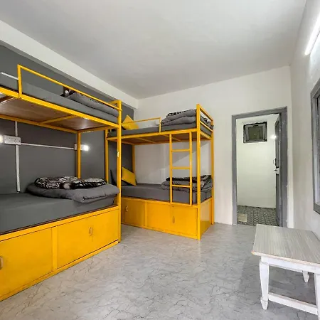 Young Monk Hostel & Cafe Old Manali-3