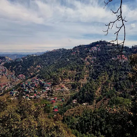 A1 B&B Shimla-2