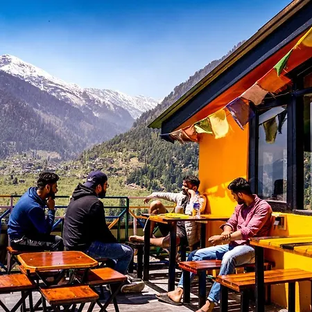 La Vaca India Manali-3