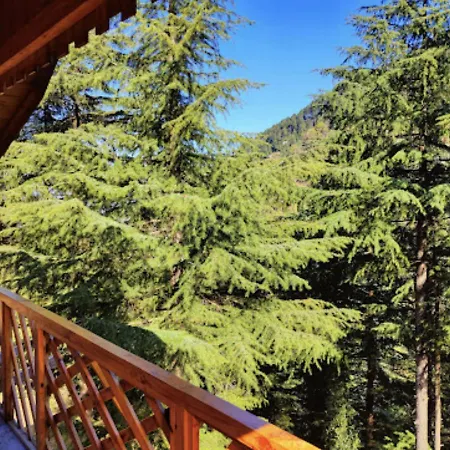 Mid Conifer Cottage-3