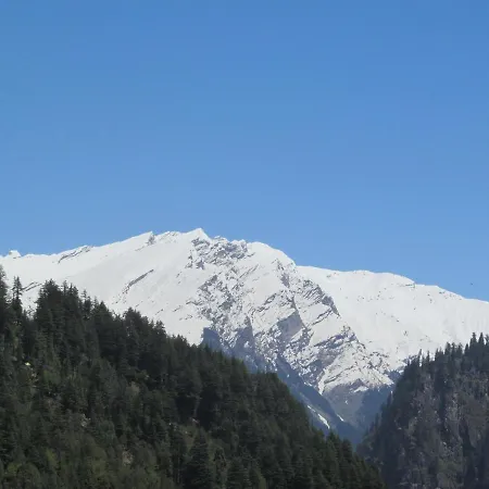 Manali Top Inn-3