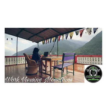 Vibe-Inthrottlers Cafe & Stay-2