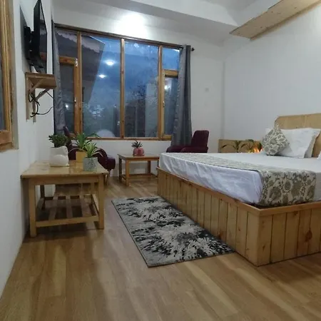 River Inn Manali-3