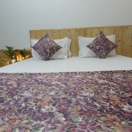 River Inn Manali-2