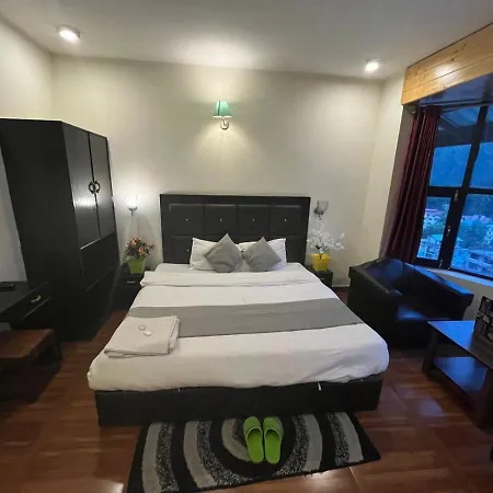 Hadimba Rock Hotel Manali-2
