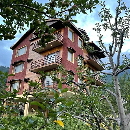 Itmelysian Manali Near Martins-2