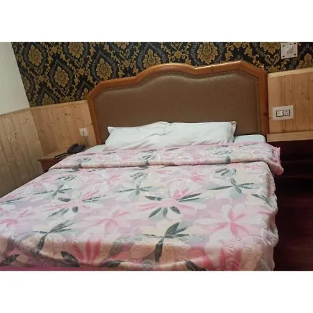 New Manali Villa, Manali-3