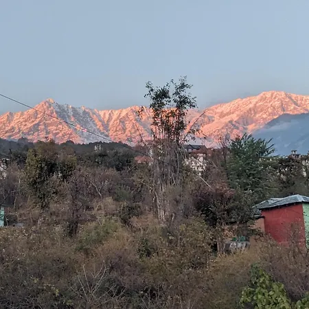 Happy Home Stay, Dharamshala-3