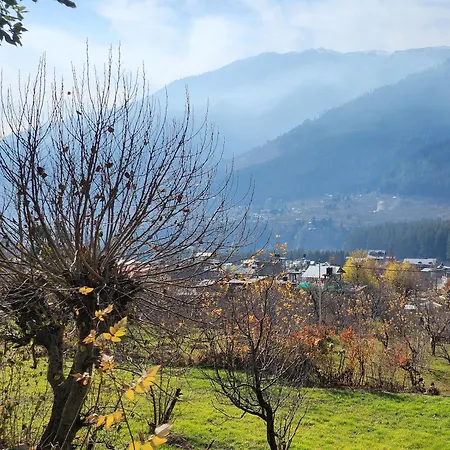 The Homstel Manali-3
