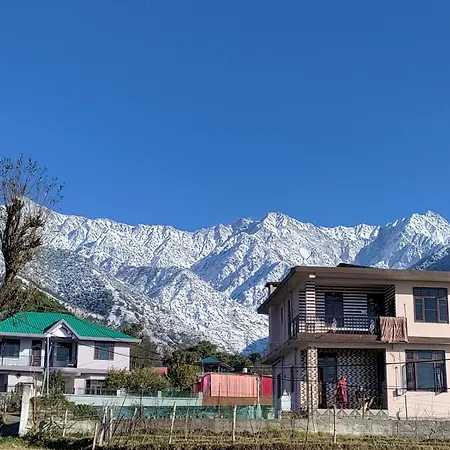 Homestay Palampur View-2