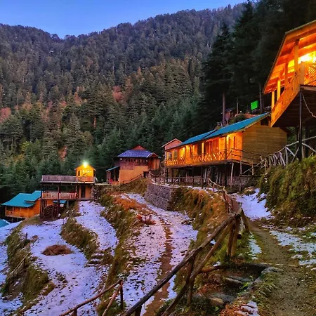 Mid Conifer Resort And Cottages-2