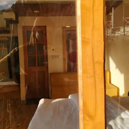 Tree Nest Resort-2