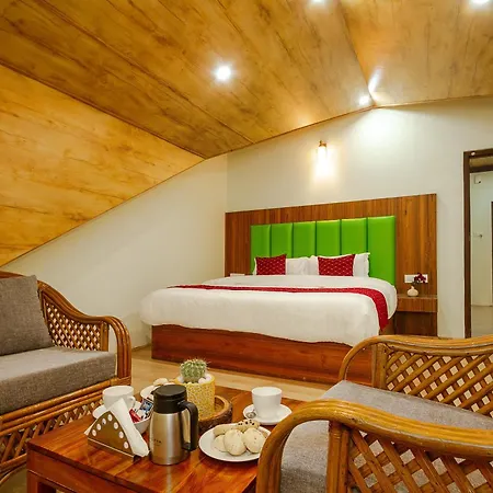 Tripli Hotels Drilbu Manali-3