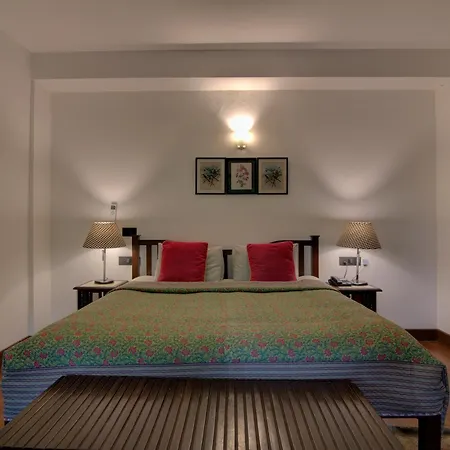 7 Pines Kasauli-3