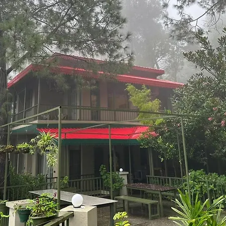 7 Pines Kasauli-2