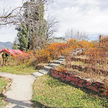Flagship King"S Hills Cottages, Village Kuftu, Kufri-3