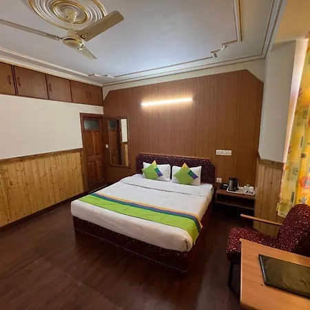 Woodstock Inn Manali 800 Mtrs From Mall Road-3
