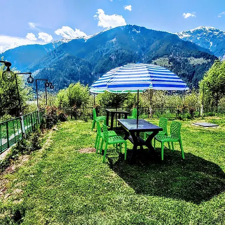 Luxury Planet Resort Manali-3